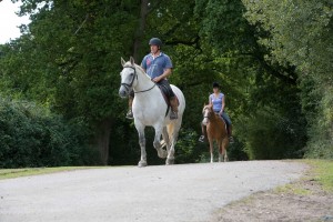 horse riding new forest - Forest Gate Lodge new forest activities